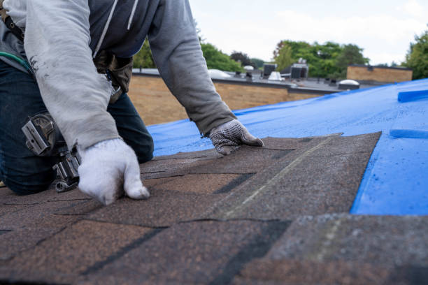 Best New Roof Installation  in Charlevoix, MI