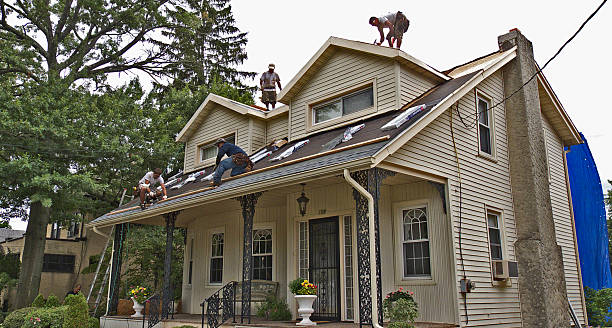 Best Roof Repair Services  in Charlevoix, MI