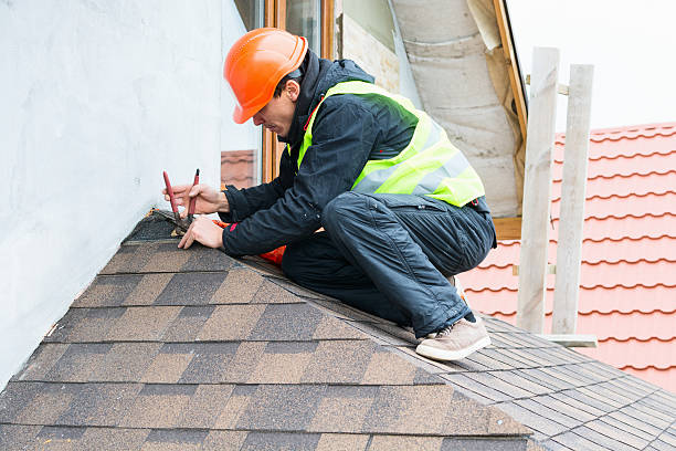Best Roof Maintenance Services  in Charlevoix, MI